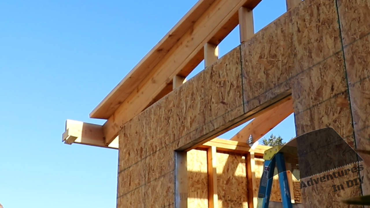 building a modern shed – part 6 – framing the roof